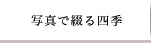 �ʐ^�ŒԂ�l�G